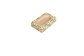 SoundGuard P-BOX 2